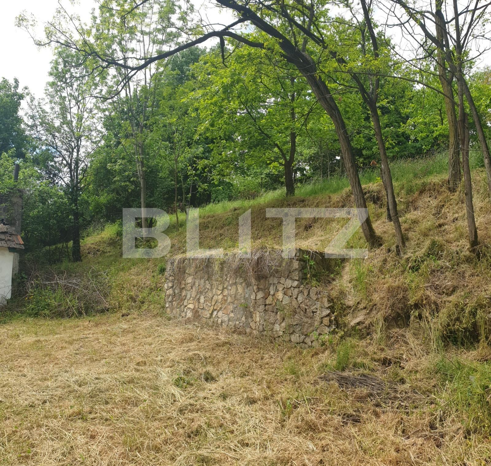 Teren de vânzare Exterior Est - 108730TV | BLITZ Arad | Poza9