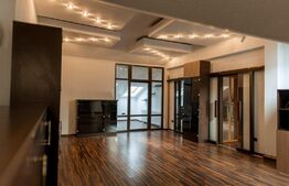 Casa moderna cu 8 camere, 600mp, Central