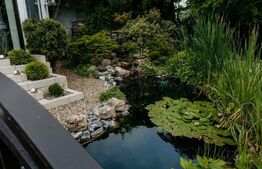 Casa moderna cu 8 camere, 600mp, Central