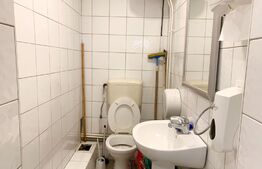 Spatiu comercial cu vitrina, 127mp, văd comercial bun, zona Podgoria