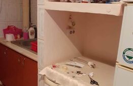 Garsoniera, 39mp, Sannicolau Mic