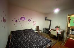 Apartament la casa, 3 camere, 70 mp, zona Miorita