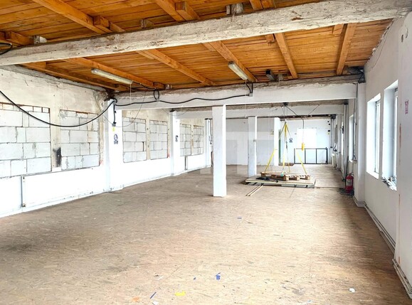 Spațiu industrial de închiriat Parneava - 110638SII | BLITZ Arad | Poza4