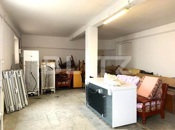 Spațiu industrial de închiriat Parneava - 110638SII | BLITZ Arad | Poza5