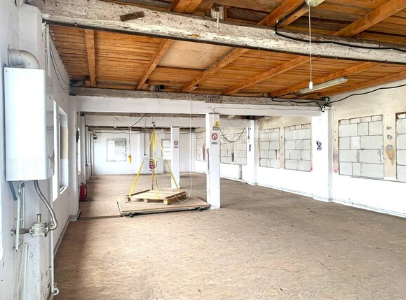 Spațiu industrial de închiriat Parneava - 110638SII | BLITZ Arad | Poza3