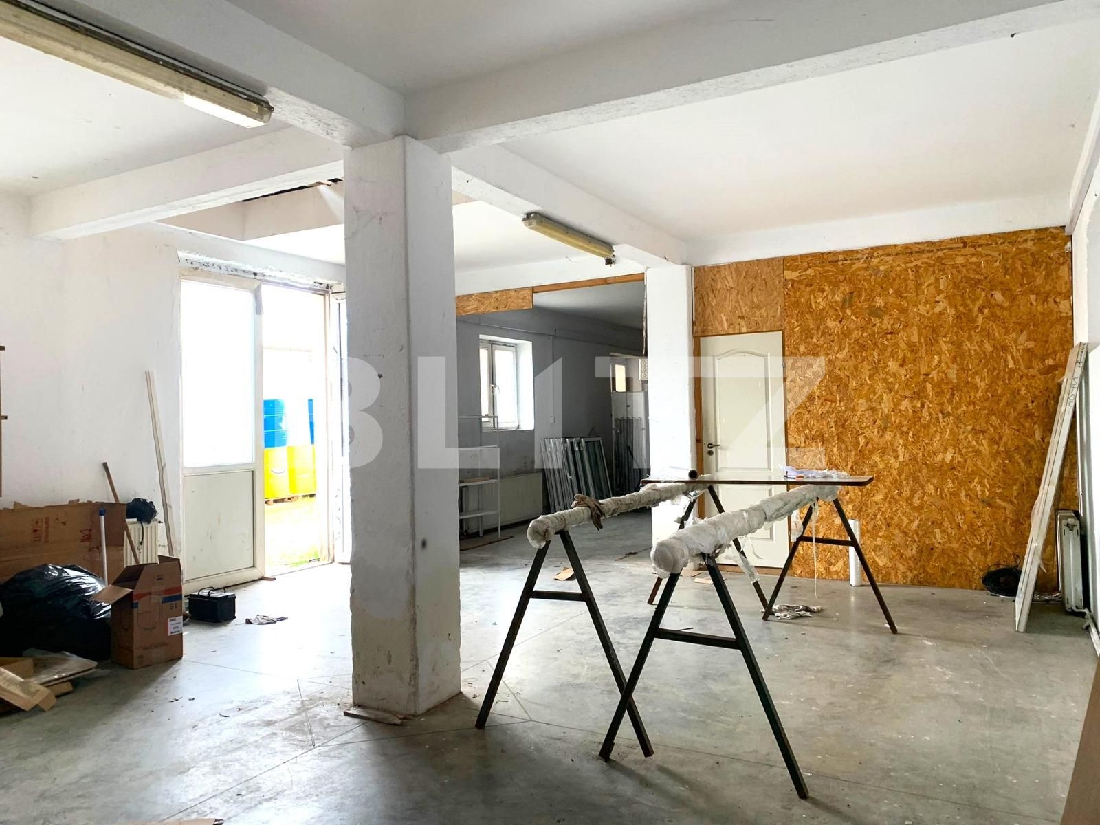 Spațiu industrial de închiriat Parneava - 110638SII | BLITZ Arad | Poza2