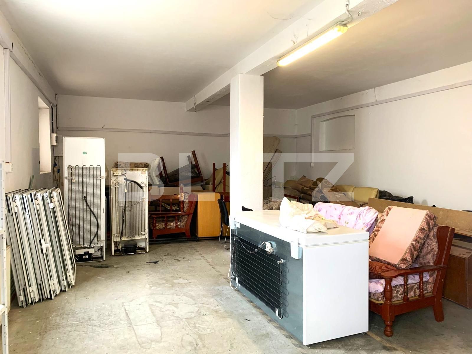 Spațiu industrial de închiriat Parneava - 110638SII | BLITZ Arad | Poza5