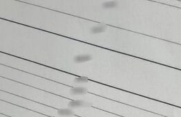 Urgent! Teren extravilan 50000 mp, Livada