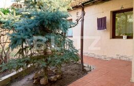 Casa individuala, 2 camere, 44 mp utili, zona Centrala