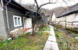 Casa cu potential turistic, 1500 mp teren, 3 camere, in statiunea MONEASA!