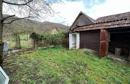 Casa cu potential turistic, 1500 mp teren, 3 camere, in statiunea MONEASA!