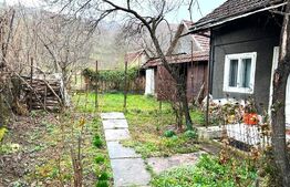 Casa cu potential turistic, 1500 mp teren, 3 camere, in statiunea MONEASA!