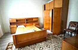 Casa cu potential turistic, 1500 mp teren, 3 camere, in statiunea MONEASA!