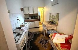 Casa cu potential turistic, 1500 mp teren, 3 camere, in statiunea MONEASA!