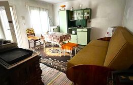 Casa cu potential turistic, 1500 mp teren, 3 camere, in statiunea MONEASA!