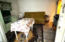 Casa cu potential turistic, 1500 mp teren, 3 camere, in statiunea MONEASA!