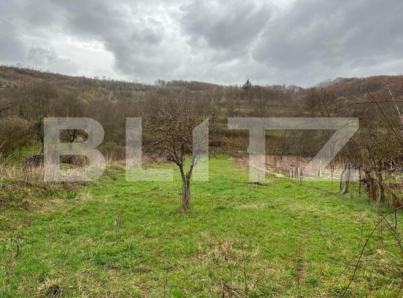 Casa de vânzare 3 camere Nord-Est - 111774CV | BLITZ Arad | Poza11