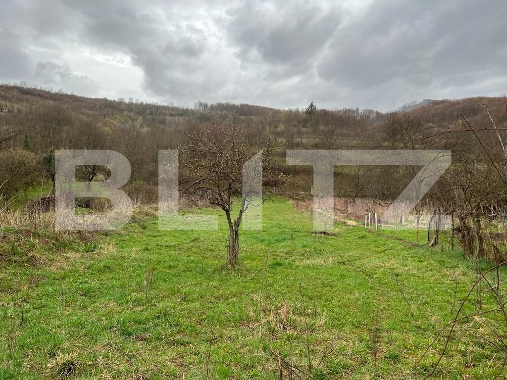 Casa de vânzare 3 camere Nord-Est - 111774CV | BLITZ Arad | Poza11