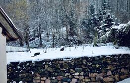 Casa cu potential turistic, 670 mp teren, in statiunea MONEASA!