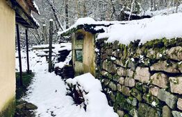 Casa cu potential turistic, 670 mp teren, in statiunea MONEASA!