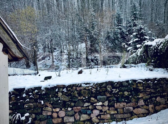 Casa de vânzare 3 camere Nord-Est - 111775CV | BLITZ Arad | Poza2