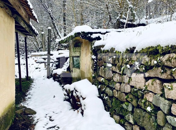 Casa de vânzare 3 camere Nord-Est - 111775CV | BLITZ Arad | Poza3