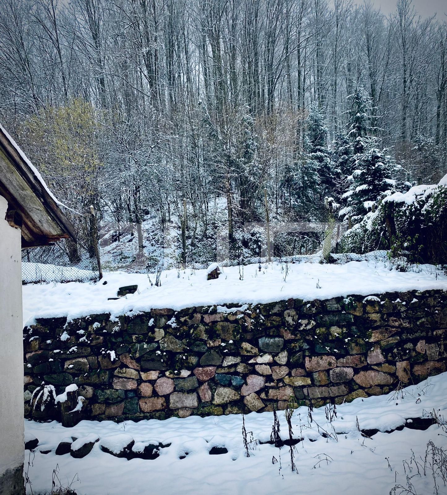 Casa de vânzare 3 camere Nord-Est - 111775CV | BLITZ Arad | Poza2