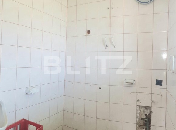 Spațiu comercial de vânzare Aradul Nou - 112134SVC | BLITZ Arad | Poza4