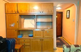 Apartament de 2 camere, 55 mp, boxa, zona Teatrul Ioan Slavici