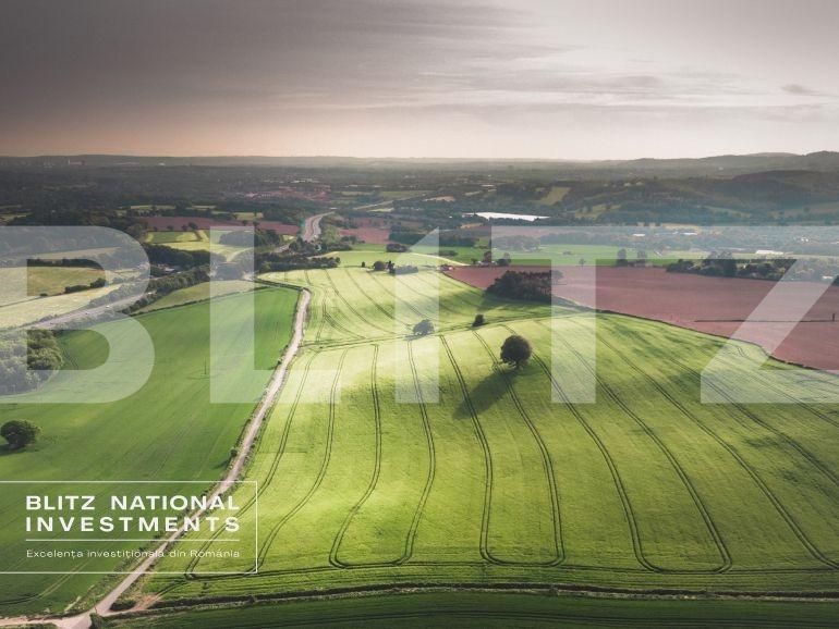 Spațiu birouri de vânzare Central - 112684SVB | BLITZ Arad | Poza6