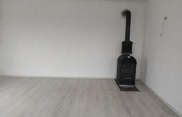 Casa individuala, 613 mp teren, Șofronea