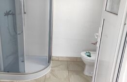 Casa individuala, 613 mp teren, Șofronea