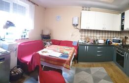 Casa individuala, 3 corpuri, 2942 mp teren, acces auto, doua fronturi, Vinga