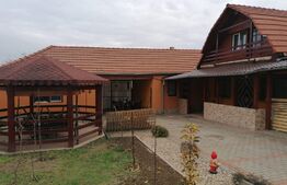 Casa individuala, 3 corpuri, 2942 mp teren, acces auto, doua fronturi, Vinga