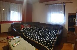 Casa individuala, 3 corpuri, 2942 mp teren, acces auto, doua fronturi, Vinga