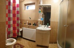 Casa individuala, 3 corpuri, 2942 mp teren, acces auto, doua fronturi, Vinga