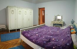 Casa individuala, 3 corpuri, 2942 mp teren, acces auto, doua fronturi, Vinga