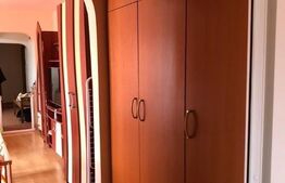 Apartament de 2 camere, semidecomandat, 60 mp, zona Micălaca