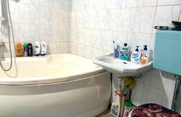 Reducere de pret! Apartament spatios cu o camera, 44 mp, pivnita, zona Boul Rosu