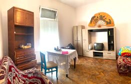 Reducere de pret! Apartament spatios cu o camera, 44 mp, pivnita, zona Boul Rosu
