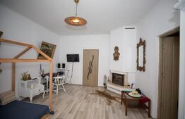 Apartament la casa cu o curte superba, 2 camere ,65 mp utili, zona Intim