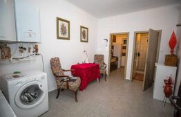 Apartament la casa cu o curte superba, 2 camere ,65 mp utili, zona Intim