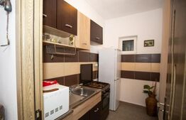 Apartament la casa cu o curte superba, 2 camere ,65 mp utili, zona Intim