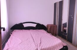 Casa 44 mp utili, doua camere, Aradul Nou 