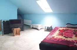 Casa 44 mp utili, doua camere, Aradul Nou 