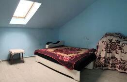 Casa 44 mp utili, doua camere, Aradul Nou 