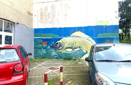 Spatiu comercial cu vitrina, 55 mp, zona Vlaicu