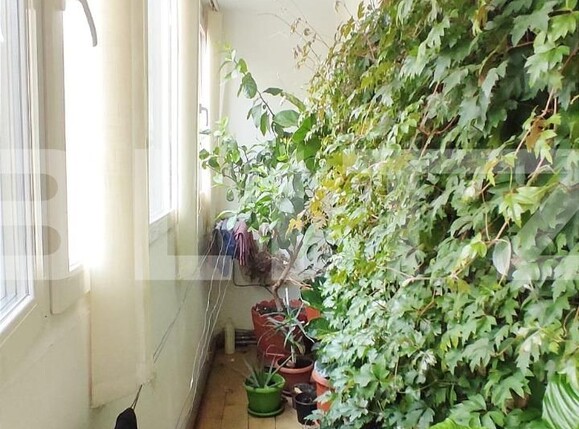 Apartament de vânzare 3 camere Malul Muresului - 115758AV | BLITZ Arad | Poza8