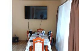 Casa, spatioasa cu 3 camere, 97 mp, 250 mp teren, Vladimirescu.