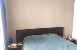 Casa, spatioasa cu 3 camere, 97 mp, 250 mp teren, Vladimirescu.